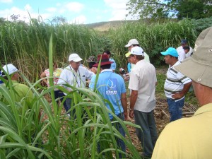 Fig. 4- Explicação sobre a construção da Barragem Subterrânea