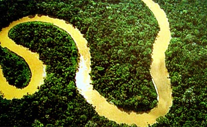 Amazônia perdeu mais de 200 km² de floresta em dois meses
