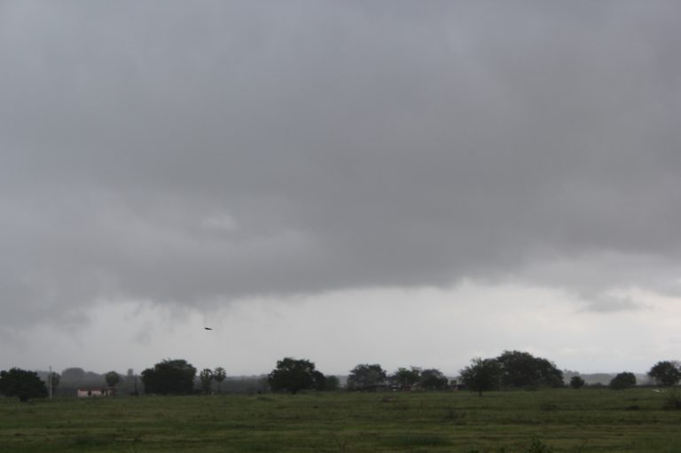 Chove em todas as regiões do Estado entre o domingo e esta segunda-feira