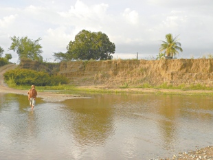 Projeto busca recompor 20 ha da mata ciliar do Rio Jaguaribe