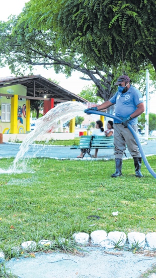 Reutilização da água é viável para cultivo de mudas nativas