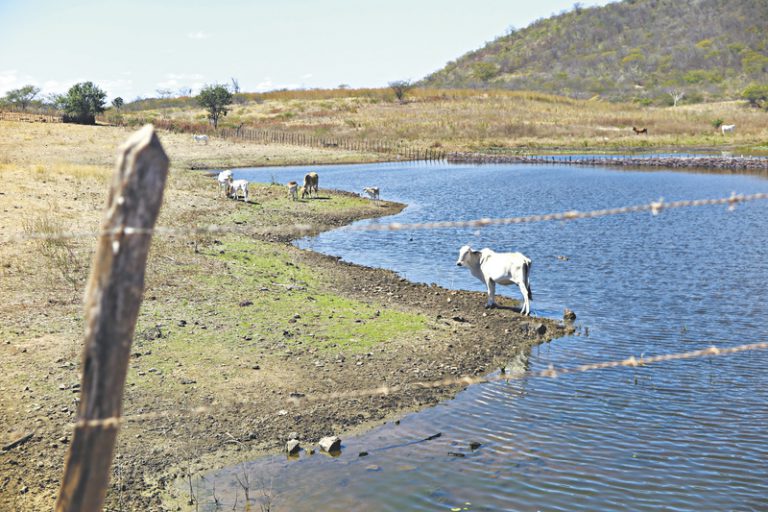 Esfriamento do Pacífico traz esperança de chuva