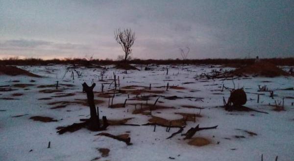 Chuva de granizo no Sertão alaga ruas e derruba árvores